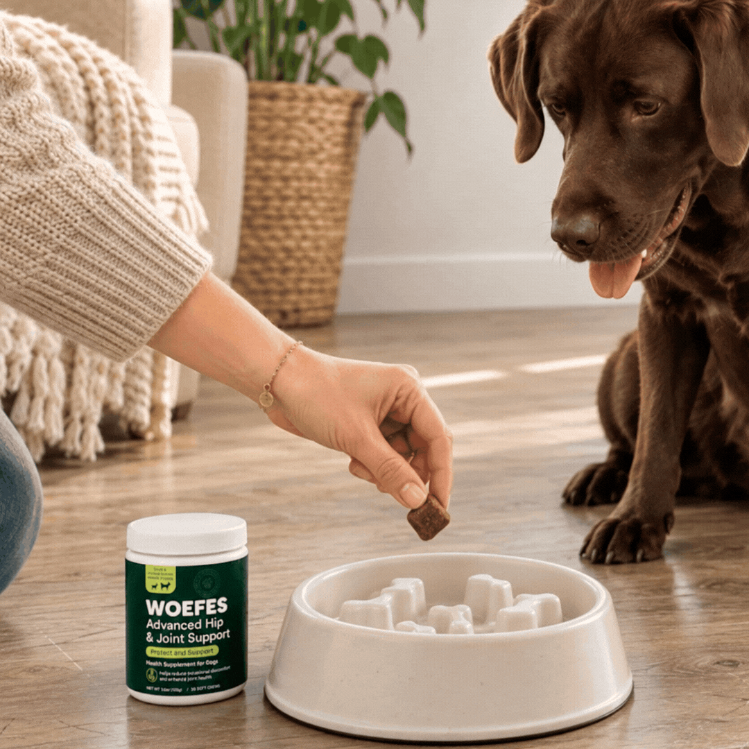 Hip & Joint Chews